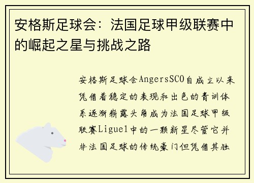 安格斯足球会：法国足球甲级联赛中的崛起之星与挑战之路