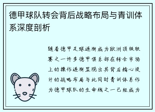 德甲球队转会背后战略布局与青训体系深度剖析